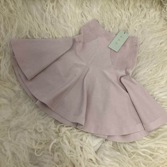 A.L.C. Dresses & Skirts - A.L.C. Mini Skirt